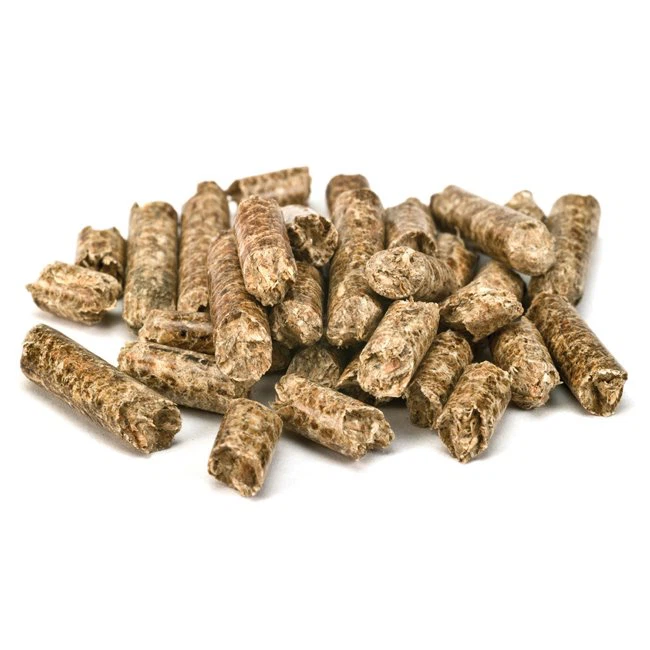 Biomass Pellet Production Line (2)