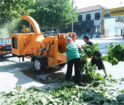 Máy băm gỗ di động Diesel