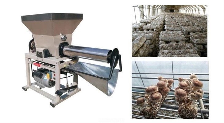 Máy đóng bao nấm tốt