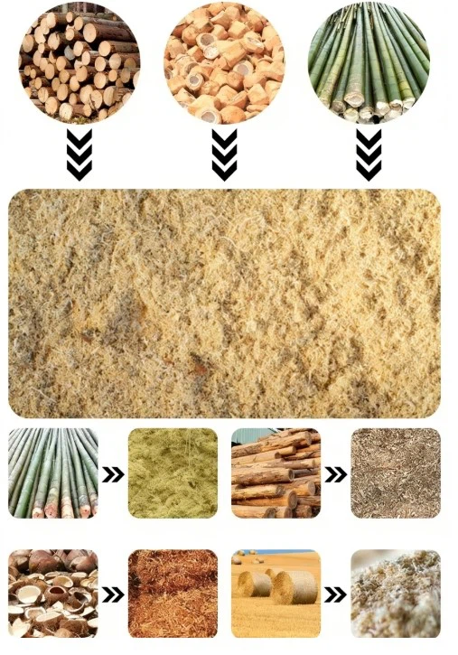 20260310165908 20260310165908